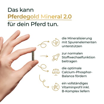 Hand hält ein kleines Pellet; Überschrift „Pferdegold Mineral 2.0“ mit Vorteilen: Mineralstoffe, Stoffwechsel, Ca‑P‑Haushalt, Vitamine.
