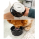 Schwarze geometrische Haustier-Wasserschale mit der Marke „lionto“, leer gezeigt und von einem Hund beim Wassertrinken benutzt.
