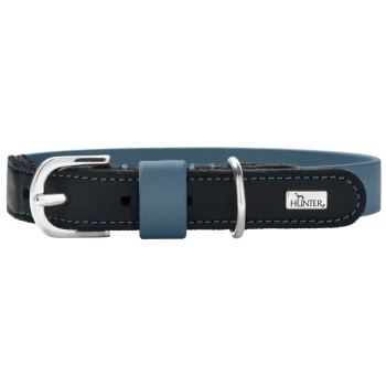 Schwarz-blaues Lederhalsband für Hunde mit silberner Schnalle und D-Ring, Metallplakette mit der Aufschrift 'HUNTER'