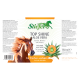 Stiefel Top Shine Aloe Vera Etikett mit galoppierendem Pferd, Aloe-Vera-Pflanze, Überschrift 'TOP SHINE ALOE VERA' und '750 ml'.