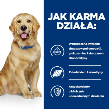 Golden Retriever po lewej; niebieski panel z napisem 'JAK KARMA DZIAŁA:' i wzmiankami o omega-3, L‑karnitynie i antyoksydantach.