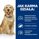 Golden Retriever po lewej; niebieski panel z napisem 'JAK KARMA DZIAŁA:' i wzmiankami o omega-3, L‑karnitynie i antyoksydantach.