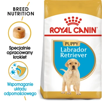 Torba karmy dla szczeniąt Royal Canin Labrador Retriever z charakterystycznym kształtem krokietów dla rasy i polskim tekstem o wsparciu odżywczym.