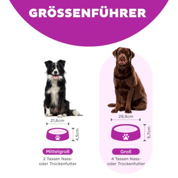 Größenführer für Hundenäpfe: zeigt einen mittelgroßen Hund (21,6 cm Napf, 2 Tassen Futter) und einen großen Hund (29,9 cm Napf, 4 Tassen Futter).