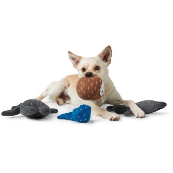 Ein beiger Hund liegt auf einem weißen Hintergrund und hält ein braunes Spielzeug, umgeben von grauen und blauen Plüschspielzeugen.