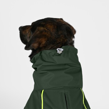 Eine Nahaufnahme eines Hundes, der einen dunkelgrünen Regenmantel mit hohem Kragen und reflektierenden gelben Akzenten trägt, die das Profil des Hundes zeigt.