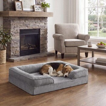Beagle schläft zusammengerollt auf grauem Randhundebett in einem hellen Wohnzimmer mit Steinkamin, Sessel und Couchtisch