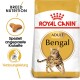 Royal Canin Adult Bengal Katzenfutterbeutel mit einer Illustration einer laufenden Bengal-Katze, mit Text, der die Ernährungsbedürfnisse der Rasse und die Unterstützung der Verdauung hervorhebt.