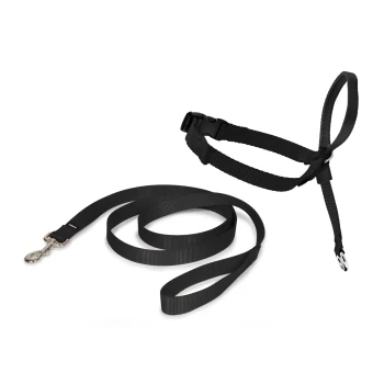 Schwarzes Haustiergeschirr und Leinen-Set mit robustem Design, verstellbaren Riemen und einem Metallclip für eine sichere Befestigung.