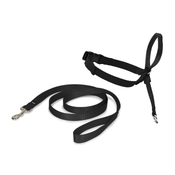 Schwarzes Haustiergeschirr und Leinen-Set mit robustem Design, verstellbaren Riemen und einem Metallclip für eine sichere Befestigung.
