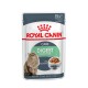 Care Digest Sensitive en sauce 12x85 g