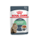 Pochette de nourriture pour chats Royal Canin Digest Sensitive, présentant un chat duveteux sur le devant, étiquetée "Haute digestibilité" et "Nutrition pour soins félins."