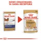 Dwa opakowania karmy dla psów Royal Canin Chihuahua oznaczone "Adult" i "85g," z napisem "Nowe opakowanie, ta sama receptura."