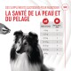 Suppléments quotidiens pour maintenir la santé de la peau et du pelage des chiens, avec un tableau de dosage basé sur le poids.