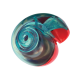 Transluzentes türkis-rotes Spiral-Hundespielzeug von KONG mit eingeprägtem 'KONG' oben.
