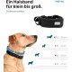 Ein Golden Retriever mit einem schwarzen verstellbaren Halsband mit einem silbernen Anhänger, neben Größenoptionen XS bis L für verschiedene Hunderassen.