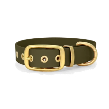 Olivgrüner Haustierhalsband mit goldener Schnalle und Metallring, mit runden Löchern zur Anpassung.