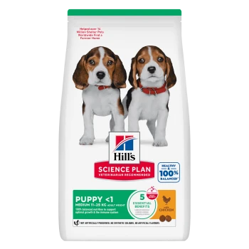 Hill's Science Plan Welpenfutter-Sack mit zwei Beagle-Welpen, Hill's-Logo, ‚PUPPY <1‘, ‚5 Essential Benefits‘, ‚with chicken‘.