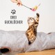 Eine verspielte Bengal-Katze, die nach einem bunten Feder-Spielzeug greift, während sie aus einem grauen Tunnel mit drei Öffnungen schaut, beschriftet mit "Drei Gucklöcher."