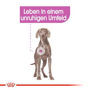 Relax Care Maxi 9 kg