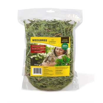 Getrockneter Weegbree (Plantago lanceolata) für Kleintiere, 750g, mit einem gelben Etikett, das die Nährstoffvorteile und Anwendungshinweise zeigt.