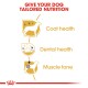 Image promoting tailored dog nutrition with icons for coat, dental health, and muscle tone. Text: "GIVE YOUR DOG TAILORED NUTRITION."