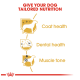 Image promoting tailored dog nutrition with icons for coat, dental health, and muscle tone. Text: "GIVE YOUR DOG TAILORED NUTRITION."