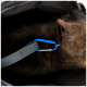 Eine Nahaufnahme des Halsbands und der Leine eines braunen Hundes in einer Haustiertrage, mit einem blauen Karabinerclip, der an der Leine befestigt ist.