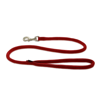 Rote geflochtene Hundeleine mit Metallverschluss und Schlaufenhandgriff auf weißem Hintergrund.