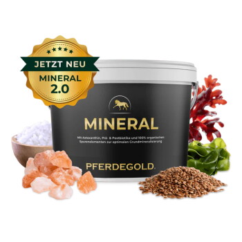 Schwarzer Behälter mit der Aufschrift 'PFERDEGOLD' und einem gelben Pferdelogo, umgeben von Mineralpulver, Algen und einem Salzblock.