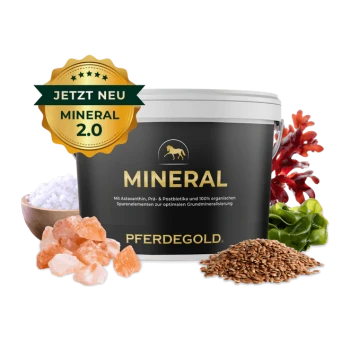 Schwarzer Behälter mit der Aufschrift 'PFERDEGOLD' und einem gelben Pferdelogo, umgeben von Mineralpulver, Algen und einem Salzblock.