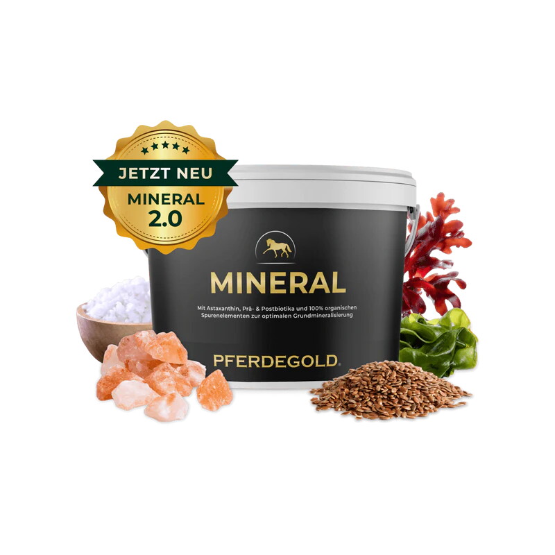 Pferdegold Mineral 1.5 kg