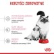 Dwa koty, dorosły i kociak, obok czerwonej miski z karmą dla kotów Royal Canin, z tekstem o korzyściach zdrowotnych w języku polskim.