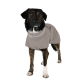Nahaufnahme des Reißverschlusses einer wasserdichten Hundejacke mit Tropfen auf einem grauen Stoff, mit einem Etikett, das 'THE DOG IDEA' liest.