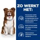 Een zittende hond met een vervaagd gezicht naast een blauw paneel met tekst over de gezondheidsvoordelen voor huisdieren, inclusief omega-3 en omega-6 vetzuren.