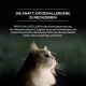 Eine Nahaufnahme einer flauschigen Katze, die nach oben schaut, mit Text, der PRO PLAN LIVECLEAR Katzenfutter bewirbt, das Allergene reduziert und die Gesundheit unterstützt.