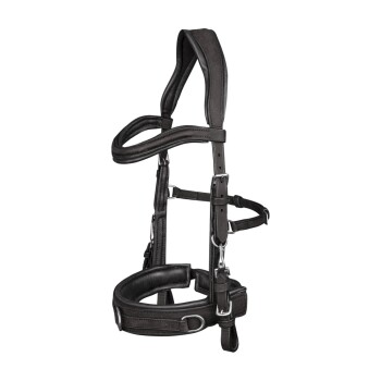 Waldhausen Kappzaum Anatomic schwarz VB/ COB (Vollblut)