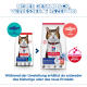 Hill's Katzenfutter, alte versus neue Packungen mit getigerter Katze; deutsche Überschrift NEUER GESCHMACK und Kennzeichnungen mit Thunfisch / mit Lachs.