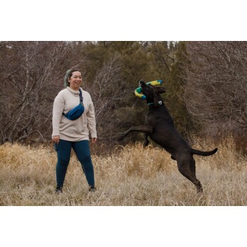 Eine Person in einem beigen Pullover und blauen Leggings steht auf einem grasbewachsenen Feld, während ein brauner Hund aufgeregt springt und ein buntes Spielzeug hält.