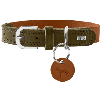 Olivgrünes Wildleder-Hundehalsband mit braunem Lederunterteil, silberner Schnalle und silbernem Ring, rundem Anhänger mit Hundprägung, Metallplatte 'HUNTER'.
