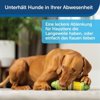 Ein brauner Hund kaut auf einem grünen und gelben Spielzeug auf dem Boden, mit Text über die Unterhaltung von Haustieren in Ihrer Abwesenheit.