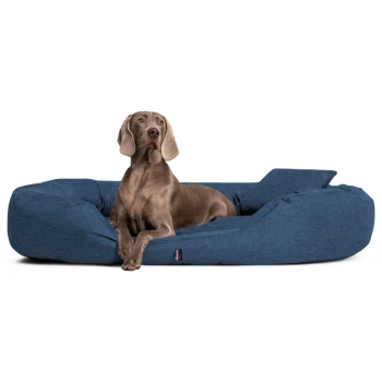 ® Orthopädisches Hundebett SAMMY | Robuster Polyester | Dicke Umrandung navy 1,4 m, 30 cm, 1,05 m Brauner Hund liegt auf einem blauen rechteckigen Haustierbett mit erhöhten Seiten auf weißem Hintergrund.