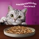 Eine neugierige graue Katze mit großen Augen beugt sich über eine Holzoberfläche und schaut auf eine Schüssel mit Katzenfutter, mit dem Text "unwiderstehlicher Geschmack" darüber.