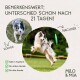 Illustration, die den Fortschritt des Gelenkknorpels mit und ohne Daily Bites vergleicht und die Vorteile für die natürliche Knorpelregeneration zeigt.