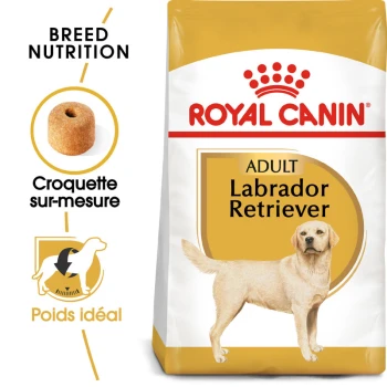 Labrador Retriever Adulte 12 kg Sac de nourriture pour chiens Royal Canin Labrador Retriever adulte, présentant une nutrition spécifique à la race, une illustration de croquettes et du texte en français.