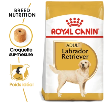 Sac de nourriture pour chiens Royal Canin Labrador Retriever adulte, présentant une nutrition spécifique à la race, une illustration de croquettes et du texte en français.