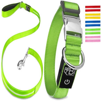 Helle grüne Hundehalsband- und Leinenkombination mit einer silbernen Schnalle und einem Clip, mit einem Logo und verschiedenen farbigen Riemen an der Seite.