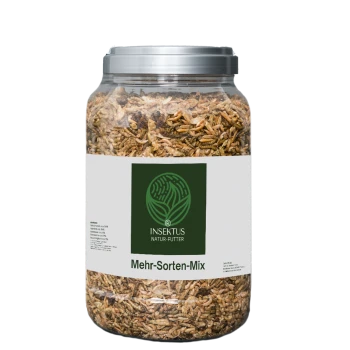 Ein klares Glas gefüllt mit einer Mischung aus insektengestütztem Haustierfutter, beschriftet mit "Mehr-Sorten-Mix" und dem Logo "INSEKTUS NATUR-FUTTER" auf der Vorderseite.