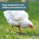 Weißes Huhn pickt draußen Gras; türkisfarbenes Banner lautet 'Regt spielerisch zum Picken und Scharren an'.