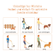 Vielseitige Leine mit Illustrationen, die verschiedene Verwendungen zeigen: Festbinden, zwei Hunde ausführen und verschiedene Längen (kurz, mittel, lang).